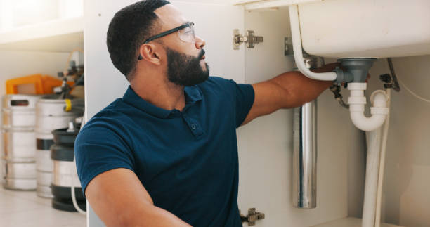 Best Garbage Disposal Repair and Installation  in Gold Canyon, AZ